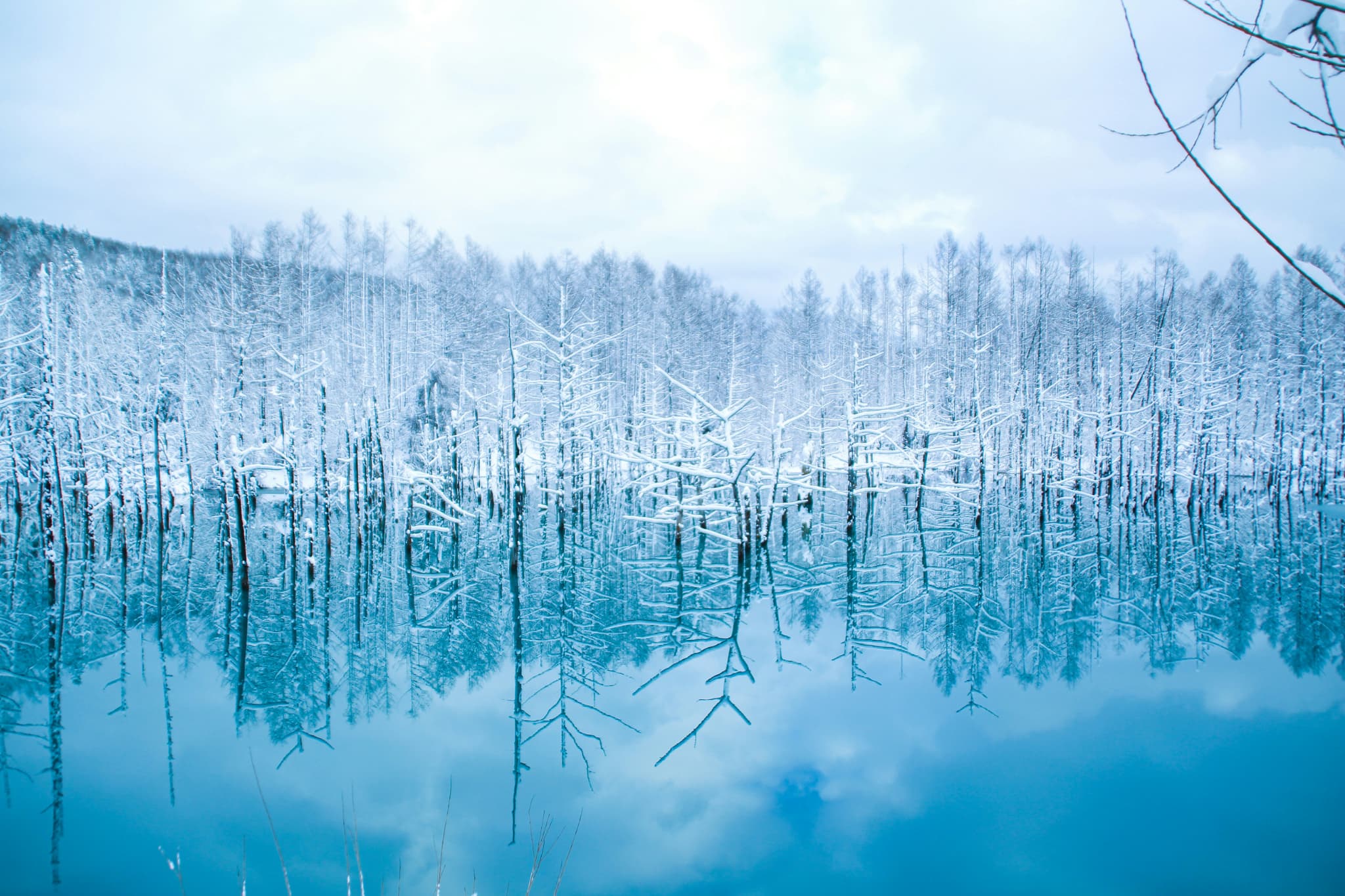 Biei Hokkaido